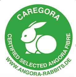 caregora-klein caregora-klein